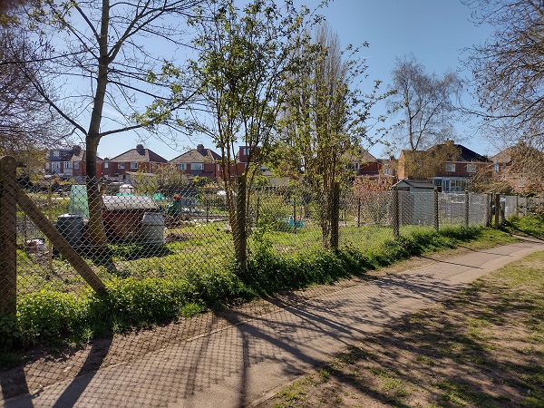 Stray Road Allotment Site